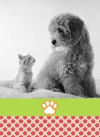 fotokaart voor huisdieren